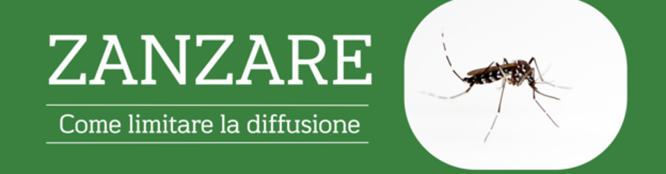 Immagine: Cattura